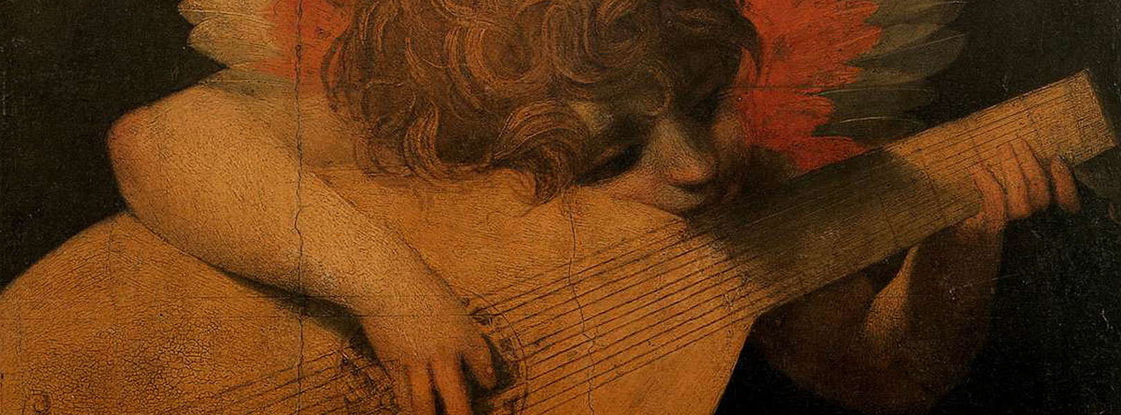 “Musician Angel” (Rosso Fiorentino, circa 1520).